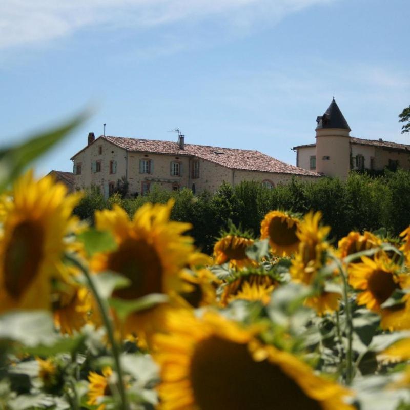 Domaine D'En Naudet Bed & Breakfast Teyssode Exterior foto